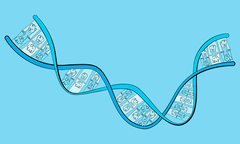 Du bist zu deinem Vater geworden