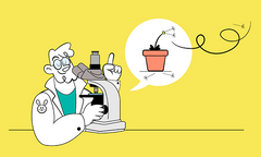 Por qué se te cae el pelo